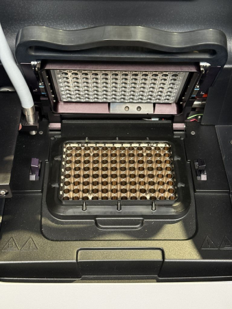 Preview: Agilent Technologies Stratagene Mx3005P PCR-System Thermocycler (gebraucht)